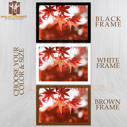 Red Maple Leaves Nature Picture High Quality Unframed Poster Print & Waterproof Poster Print Wall Décor