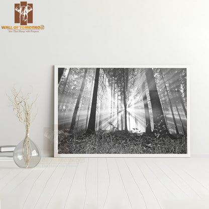 Sunrise In a Forest High Quality Unframed Poster Print & Waterproof Poster Print Wall Décor