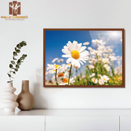 Summer Field With White Daisies on Blue Sky High Quality Unframed Poster Print & Waterproof Poster Print Wall Décor