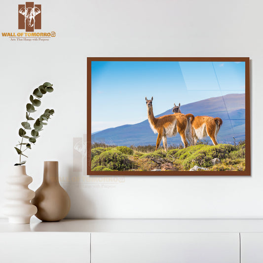 Beautiful Lamas on a Hill in Patagonia, Chile High Quality Unframed Poster Print & Waterproof Poster Print Wall Décor