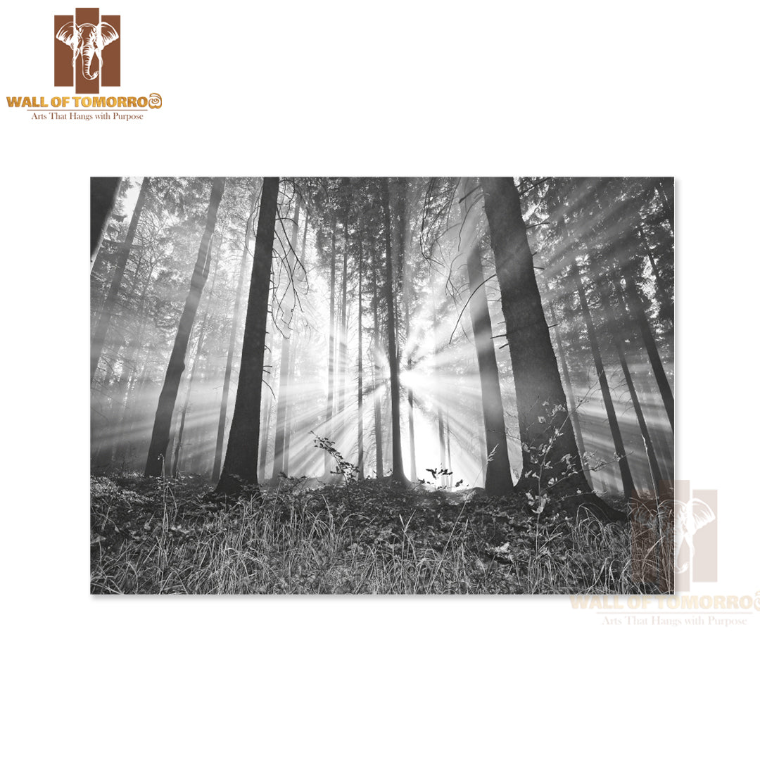 Sunrise In a Forest High Quality Unframed Poster Print & Waterproof Poster Print Wall Décor