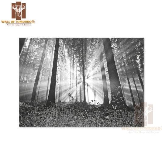 Sunrise In a Forest High Quality Unframed Poster Print & Waterproof Poster Print Wall Décor