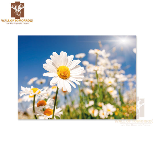 Summer Field With White Daisies on Blue Sky High Quality Unframed Poster Print & Waterproof Poster Print Wall Décor