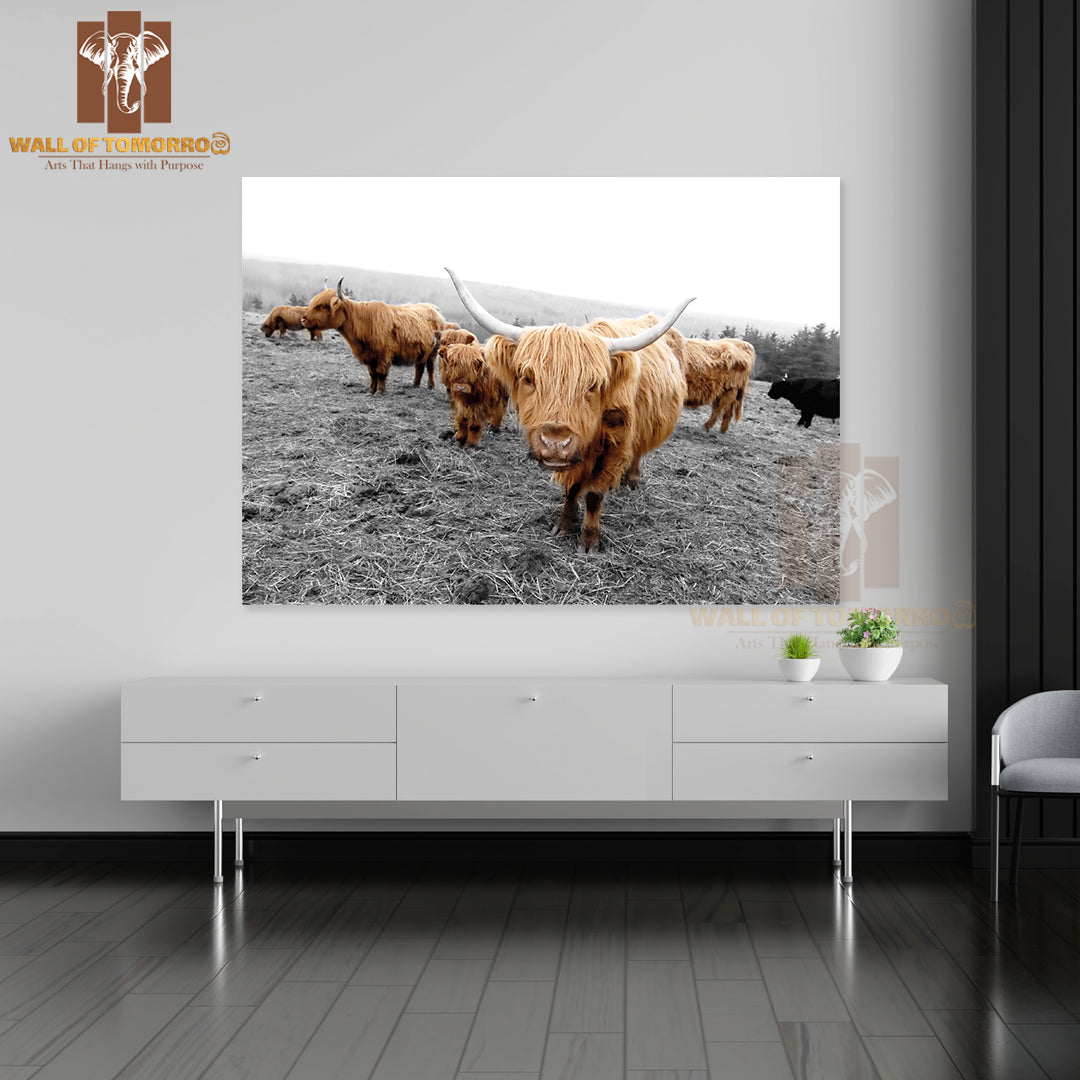 Scottish Highlander Cows High Quality Unframed Poster Print & Waterproof Poster Print Wall Décor
