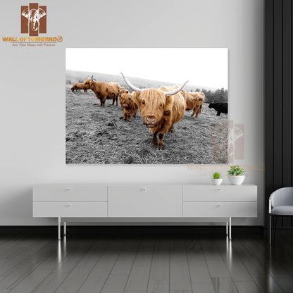 Scottish Highlander Cows High Quality Unframed Poster Print & Waterproof Poster Print Wall Décor