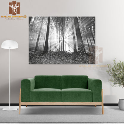Sunrise In a Forest High Quality Unframed Poster Print & Waterproof Poster Print Wall Décor