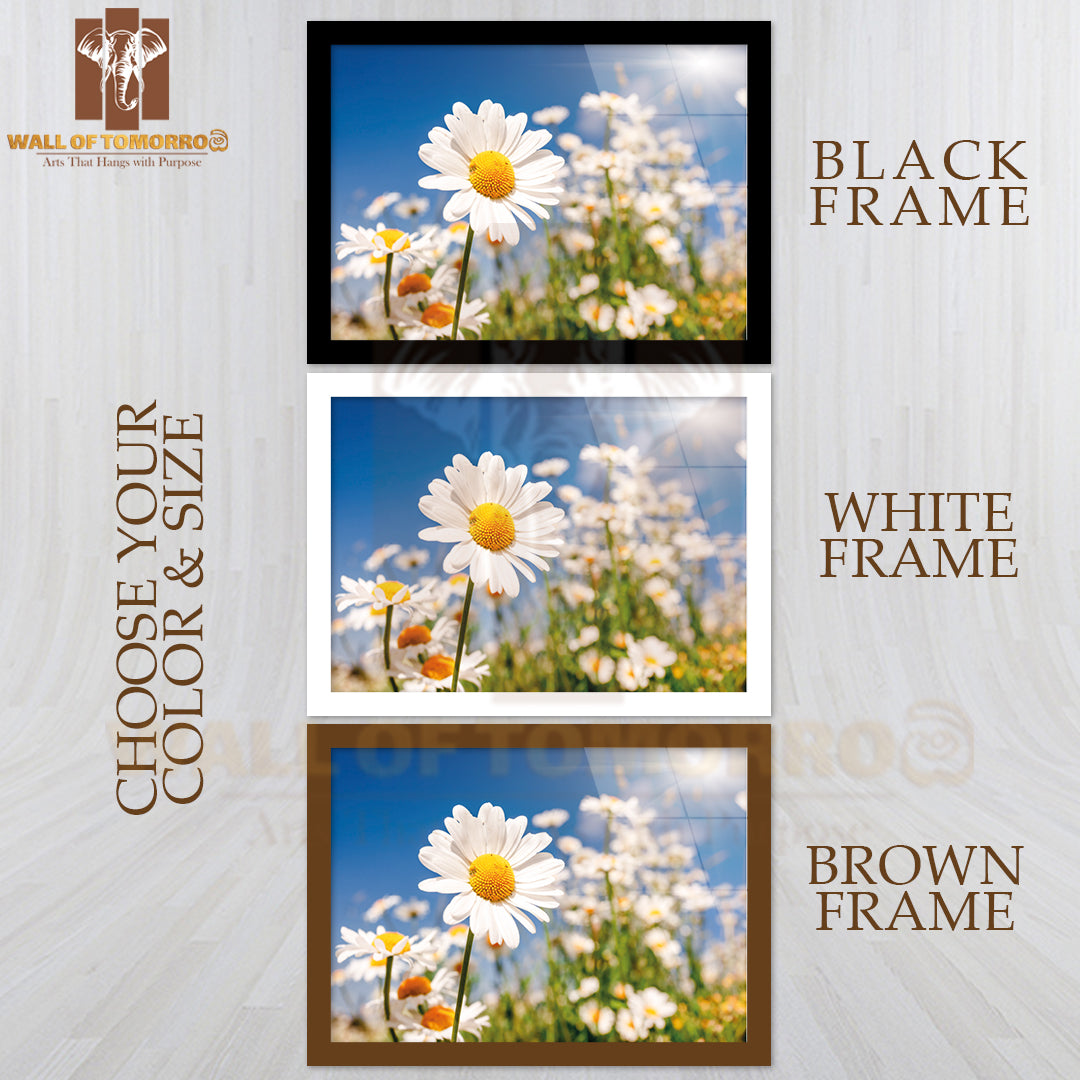 Summer Field With White Daisies on Blue Sky High Quality Unframed Poster Print & Waterproof Poster Print Wall Décor