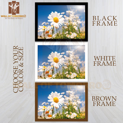 Summer Field With White Daisies on Blue Sky High Quality Unframed Poster Print & Waterproof Poster Print Wall Décor