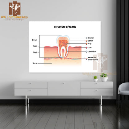 Tooth Infographics. Inscription: Enamel, Dentin, Pulp, Gum, Cementum, Nerves and Blood Vessels Educational High Quality Unframed Poster Print & Waterproof Poster Print Wall Décor