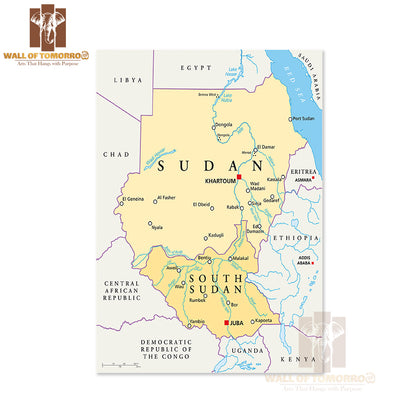 Sudan and South Sudan Political Map Educational High Quality Unframed Poster Print & Waterproof Poster Print Wall Décor