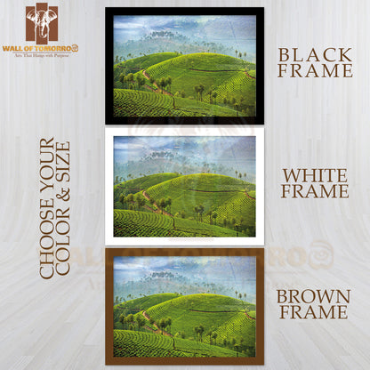 Tea Plantations in Munnar, Kerala, India High Quality Unframed Poster Print & Waterproof Poster Print Wall Décor
