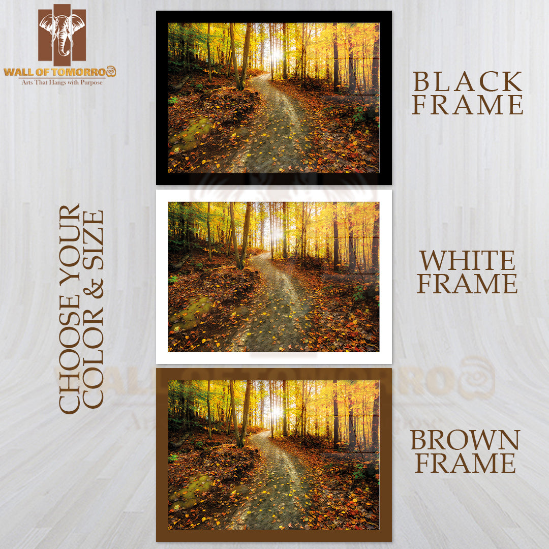 Sun Shining Through the Trees on a Path in a Golden Forest High Quality Unframed Poster Print & Waterproof Poster Print Wall Décor