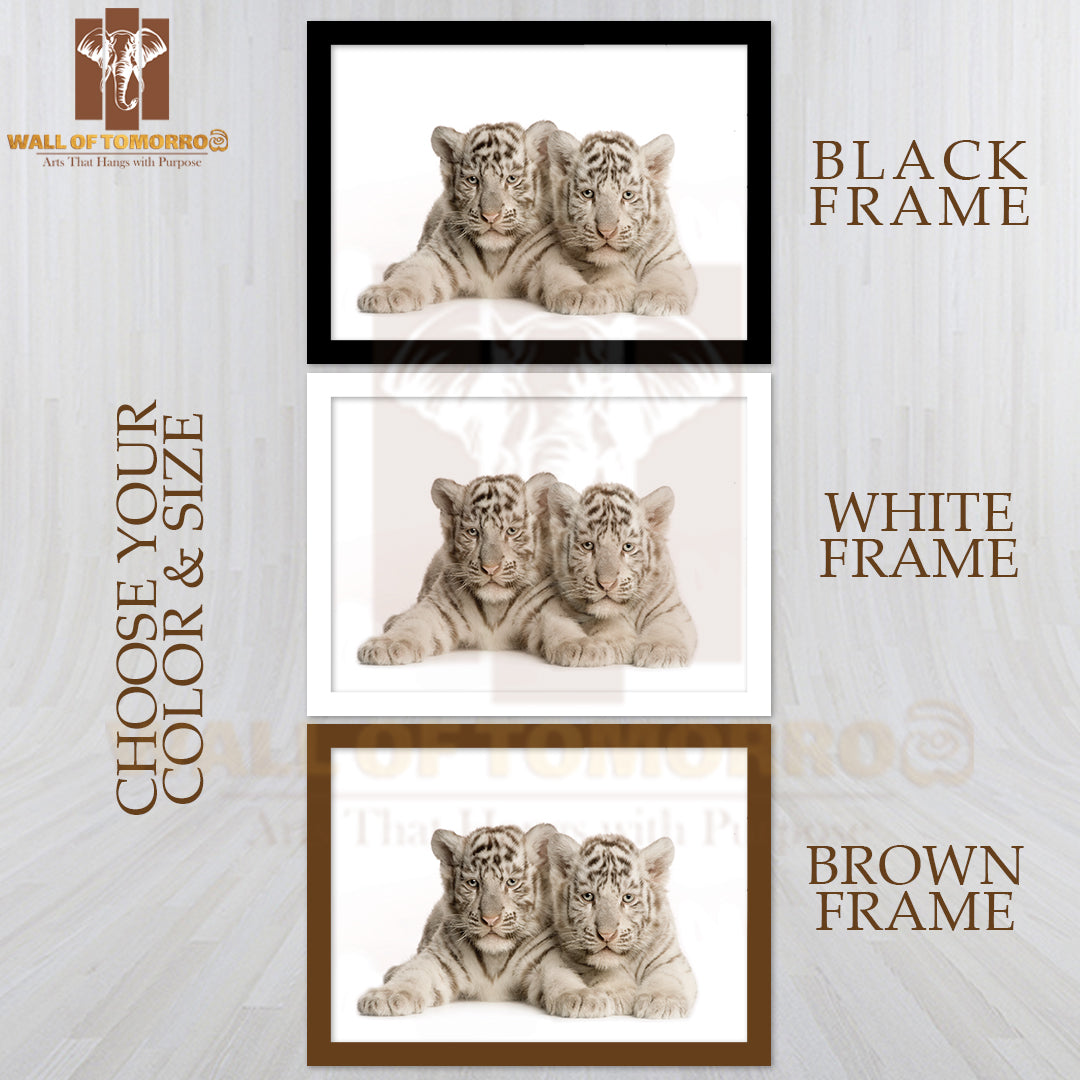 Two White Tiger Cubs High Quality Glass Frame Wall Décor