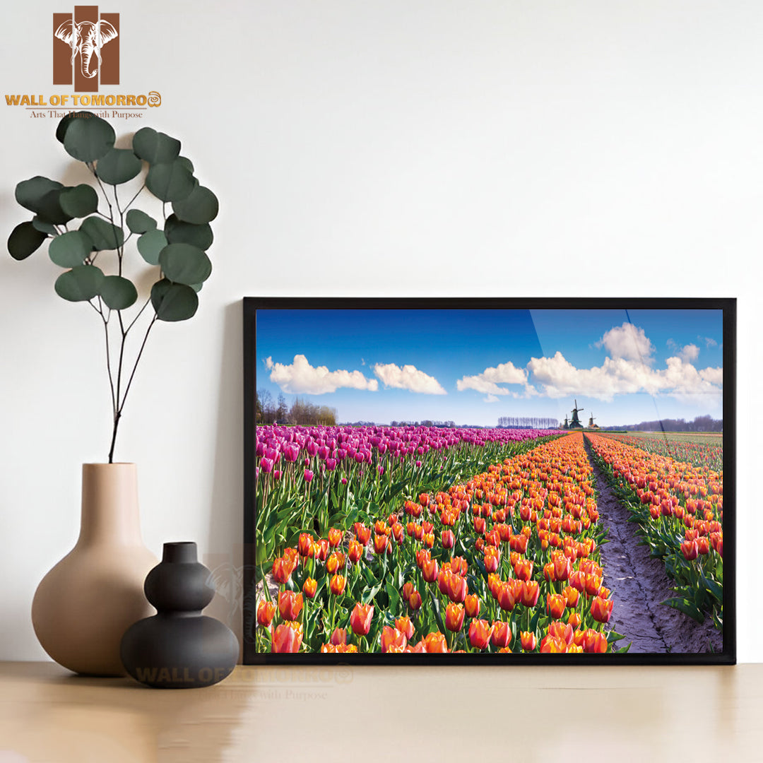 Tulip Farm Near the Creil Town, Beautiful Outdoor Scenery in Netherlands High Quality Unframed Poster Print & Waterproof Poster Print Wall Décor