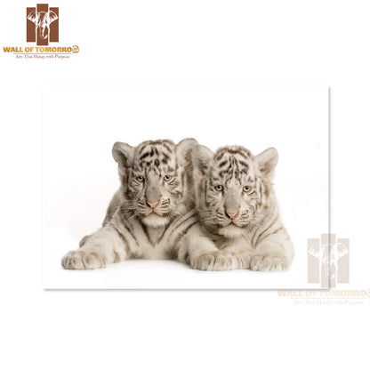 Two White Tiger Cubs High Quality Unframed Poster Print & Waterproof Poster Print Wall Décor