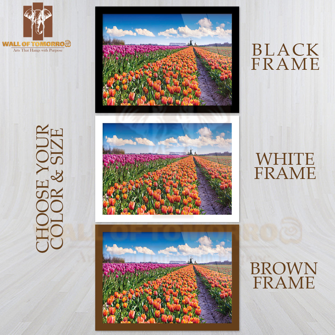 Tulip Farm Near the Creil Town, Beautiful Outdoor Scenery in Netherlands High Quality Unframed Poster Print & Waterproof Poster Print Wall Décor