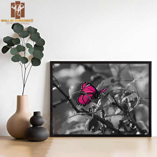 Pink Colorized Butterfly on Black & White High Quality Glass Frame Wall Décor