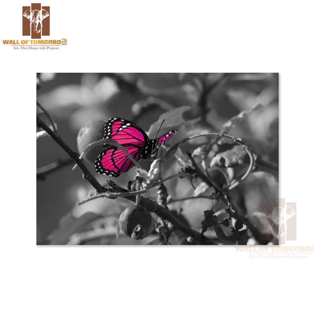 Pink Colorized Butterfly on Black & White High Quality Unframed Poster Print & Waterproof Poster Print Wall Décor