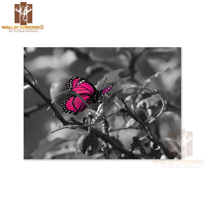 Pink Colorized Butterfly on Black & White High Quality Unframed Poster Print & Waterproof Poster Print Wall Décor