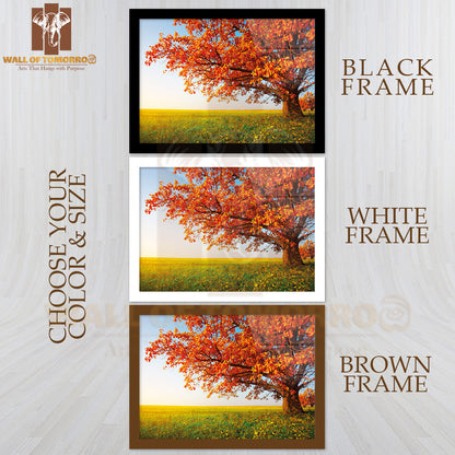Big Autumn Oak and Green Grass on a Meadow Around High Quality Unframed Poster Print & Waterproof Poster Print Wall Décor