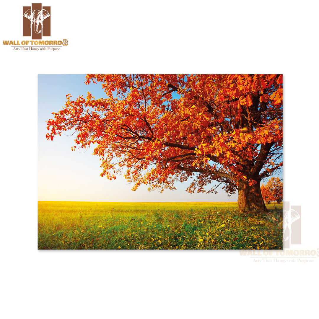 Big Autumn Oak and Green Grass on a Meadow Around High Quality Unframed Poster Print & Waterproof Poster Print Wall Décor