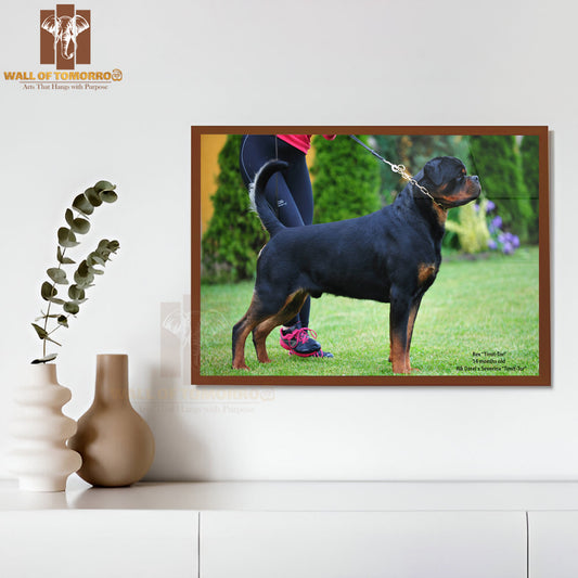 Rex Timit-tor Well Build Rottweiler High Quality Glass Frame Wall Décor