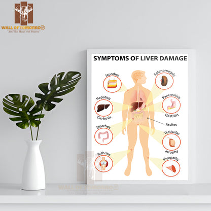 Symptoms Of Liver Damage, Human Silhouette with Internal Organs Educational High Quality Glass Frame Wall Décor