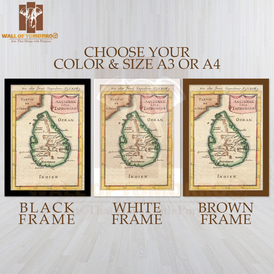 1686 Mallet Map of Ceylon or Sri Lanka (Taprobane) High Quality Glass Frame Wall Décors in Sri Lanka