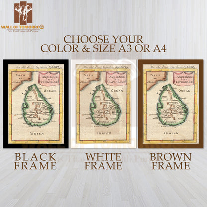 1686 Mallet Map of Ceylon or Sri Lanka (Taprobane) High Quality Glass Frame Wall Décors in Sri Lanka