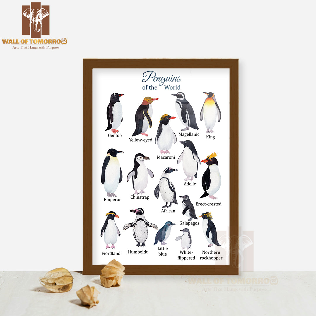 Penguins Species Watercolor Educational High Quality Glass Frame Wall Décor