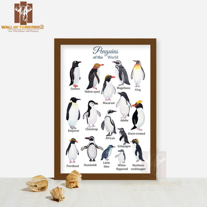 Penguins Species Watercolor Educational High Quality Glass Frame Wall Décor