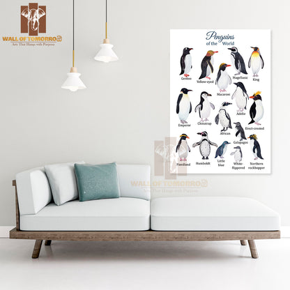Penguins Species Watercolor Educational High Quality Unframed Poster Print & Waterproof Poster Print Wall Décor