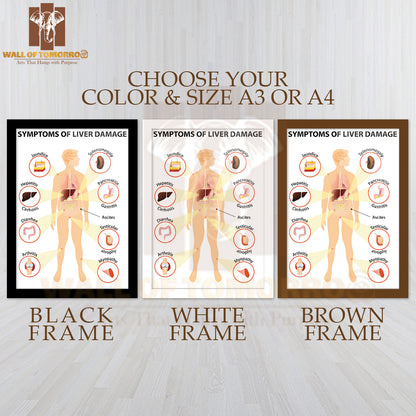Symptoms Of Liver Damage, Human Silhouette with Internal Organs Educational High Quality Glass Frame Wall Décor