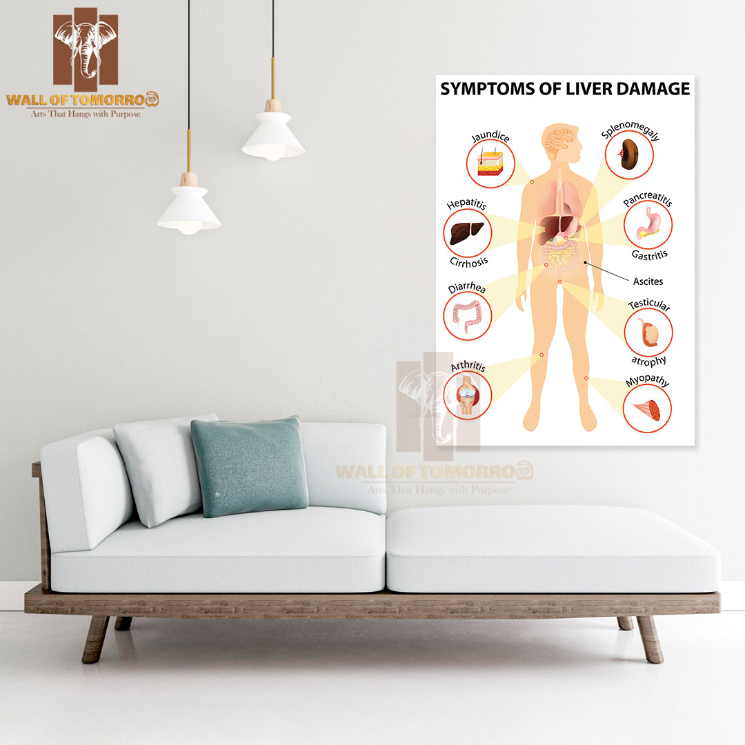 Symptoms Of Liver Damage, Human Silhouette with Internal Organs Educational High Quality Unframed Poster Print & Waterproof Poster Print Wall Décor