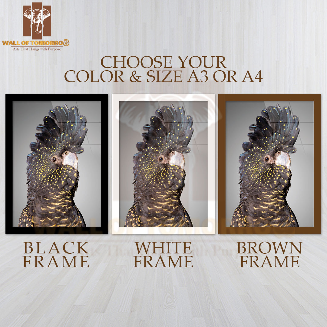 Portrait Of a Red-Tailed Black Cockatoo High Quality Glass Frame Wall Décor