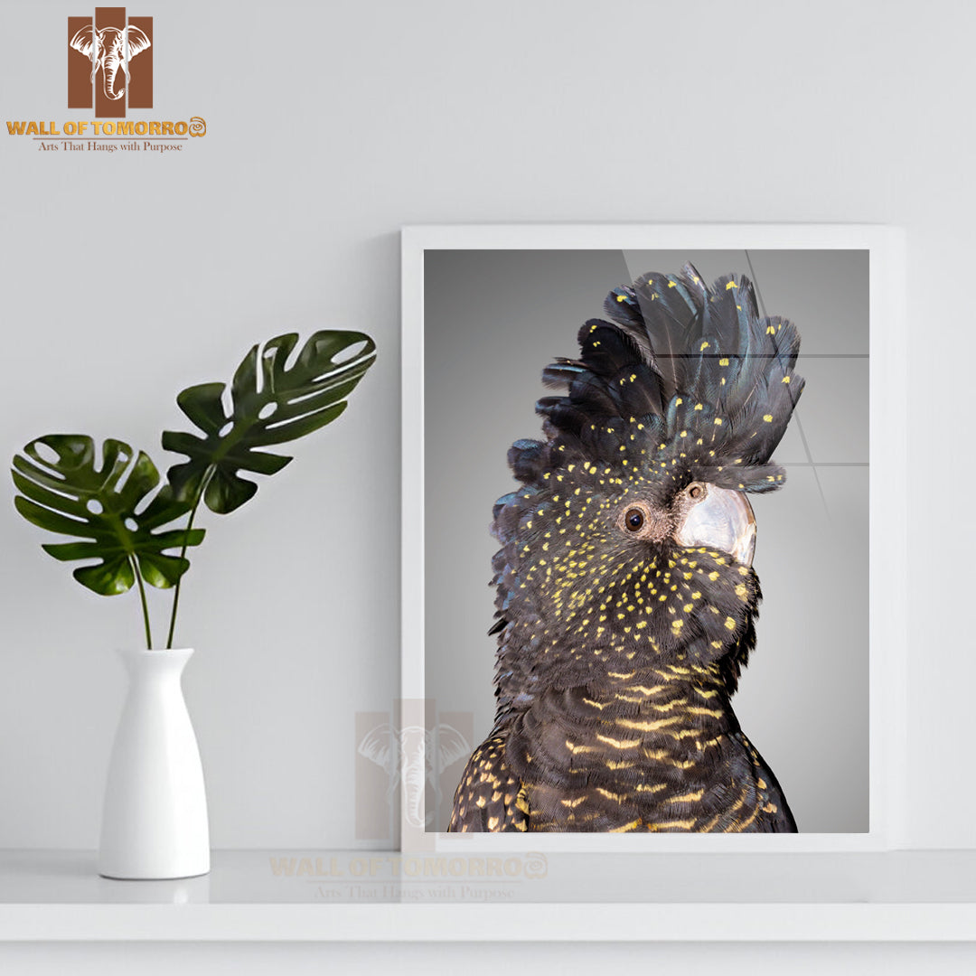 Portrait Of a Red-Tailed Black Cockatoo High Quality Glass Frame Wall Décor