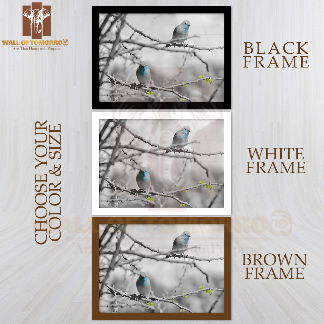 Blue Waxbill African Wild Bird High Quality Unframed Poster Print & Waterproof Poster Print Wall Décor