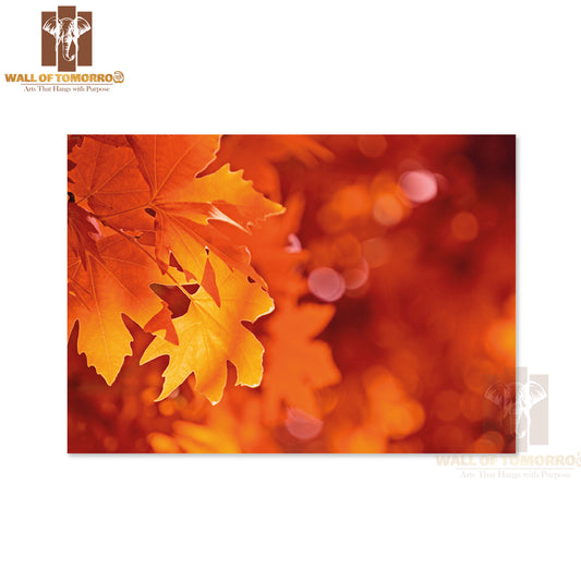 Autumn Leaves, Very Shallow Focus High Quality Unframed Poster Print & Waterproof Poster Print Wall Décor