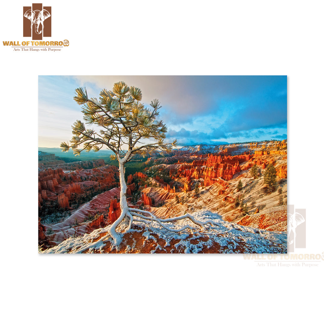 Snow Storm in Bryce High Quality Unframed Poster Print & Waterproof Poster Print Wall Décor