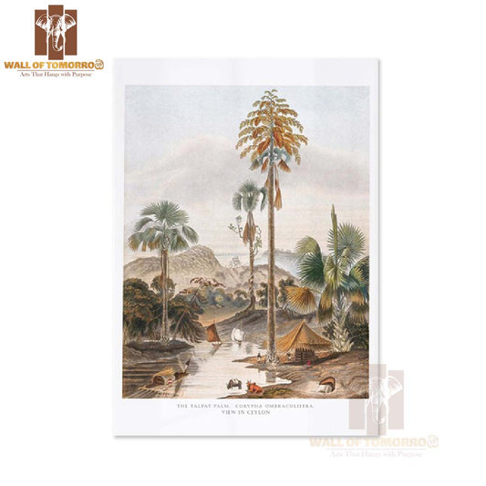 River in Sri Lanka Vintage Travel High Quality Unframed Poster Print & Laminated Poster Print Wall Décor