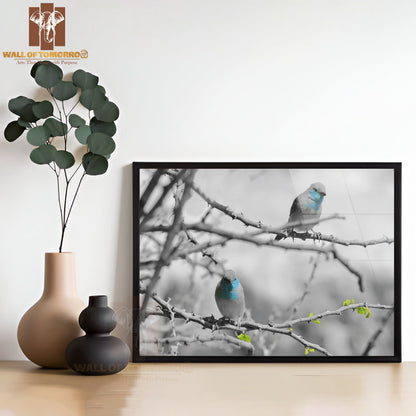 Blue Waxbill African Wild Bird High Quality Unframed Poster Print & Waterproof Poster Print Wall Décor
