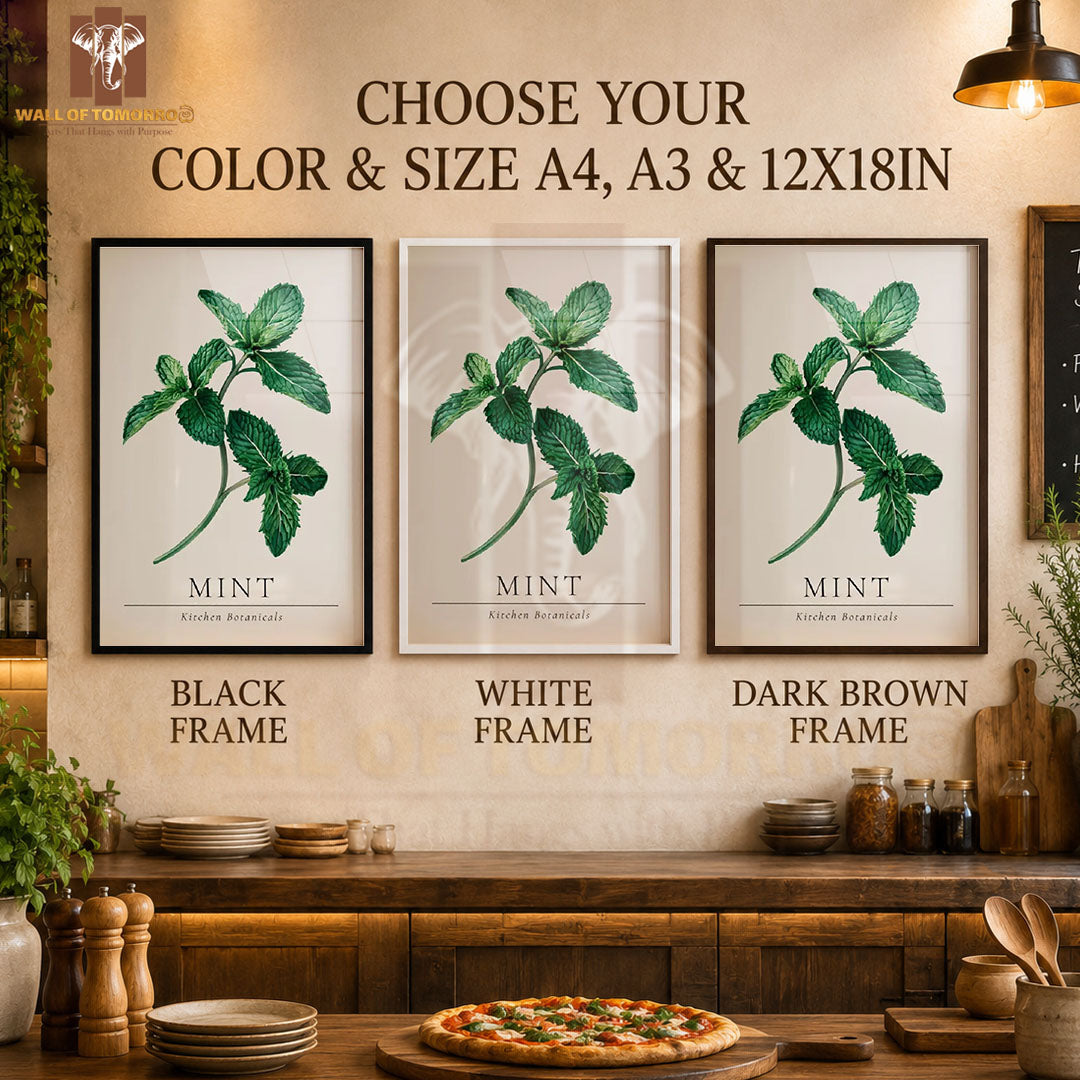 Mint Kitchen Botanicals Kitchen & Restaurant High Quality Glass Frame Wall Décors in Sri Lanka