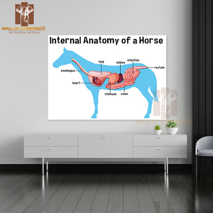Internal Anatomy of a Horse with Label Educational High Quality Unframed Poster Print & Waterproof Poster Print Wall Décor