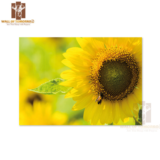 Close Up Sunflower and the Bee High Quality Unframed Poster Print & Waterproof Poster Print Wall Décor