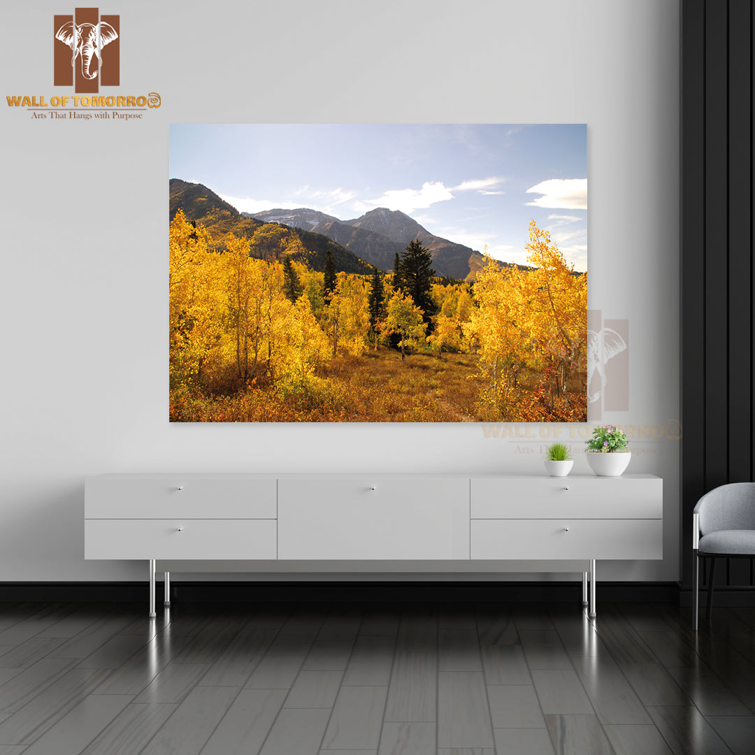 Yellow Fall Forest View High Quality Unframed Poster Print & Waterproof Poster Print Wall Décor