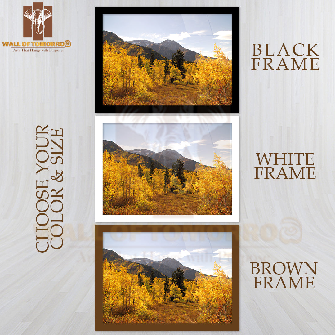 Yellow Fall Forest View High Quality Glass Frame Wall Décor