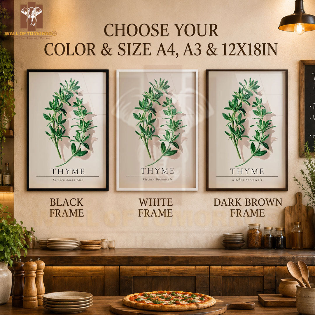 Thyme Kitchen Botanicals Kitchen & Restaurant High Quality Glass Frame Wall Décors in Sri Lanka