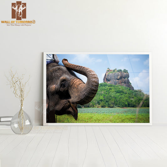 Elephant In Sigiriya Lion Rock Fortress, Sri Lanka High Quality Unframed Poster Print & Waterproof Poster Print Wall Décor