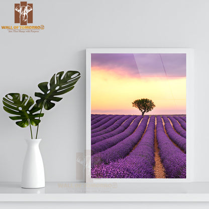 A Lone Tree Stands in A Lavender Field High Quality Glass Frame Wall Décor