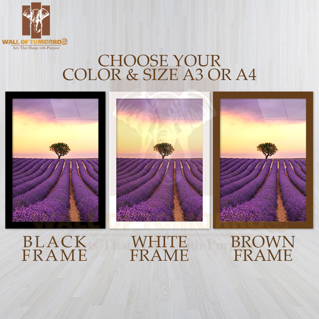 A Lone Tree Stands in A Lavender Field High Quality Glass Frame Wall Décor
